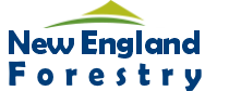 New England Forestry Logo (Return to Home Page)