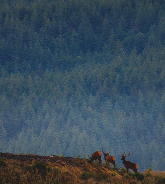 Pacific Northwest