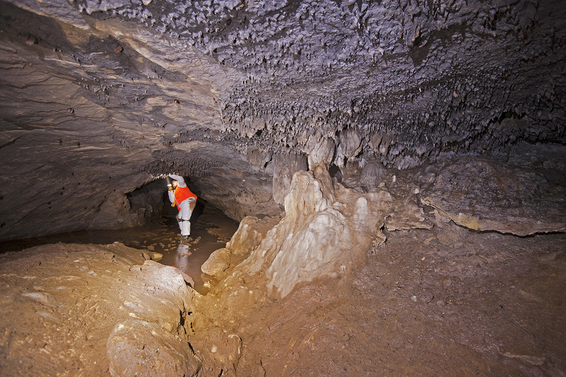 Wayne County Mississippi Bat Cave