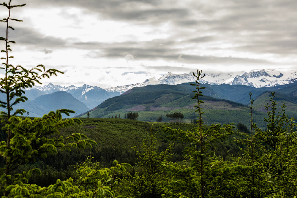 New England Forestry Acquires Pope Resources