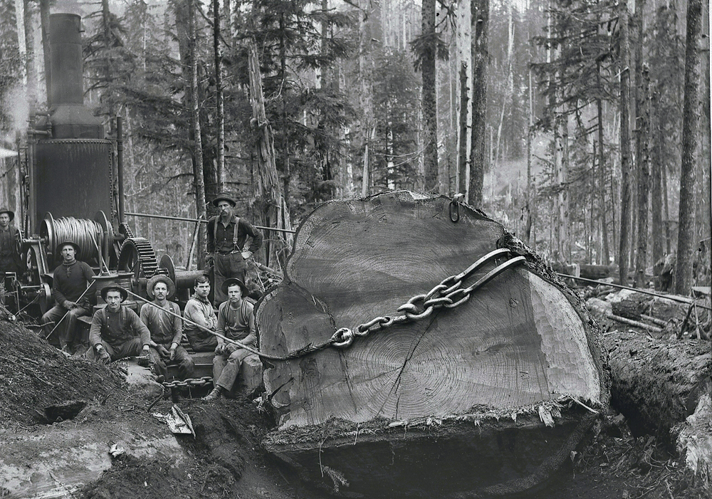 Steam Donkey Hauling Large Log