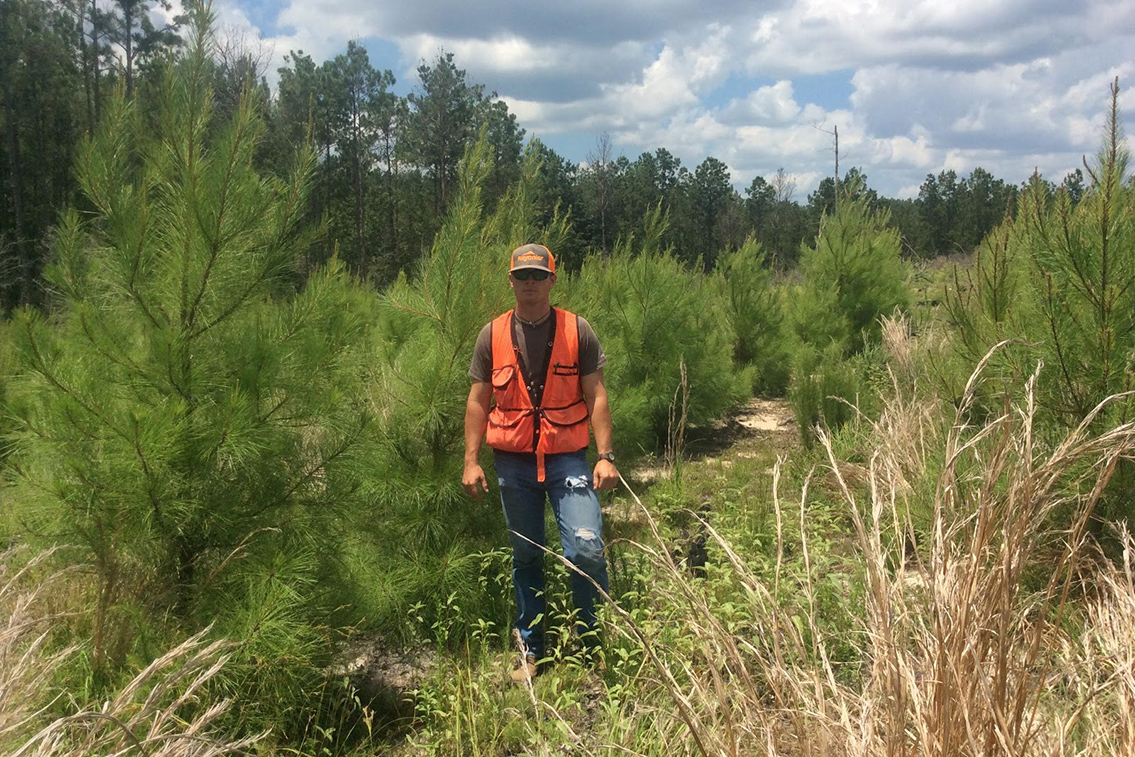 New England Forestry Intern Texas