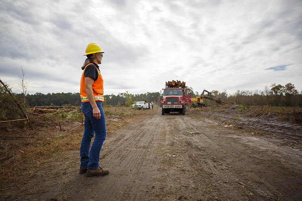 Terri observes trucks hauling timber