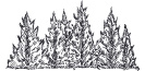 Forestry Icon