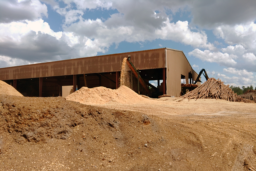 Pine shavings manufacturing facility