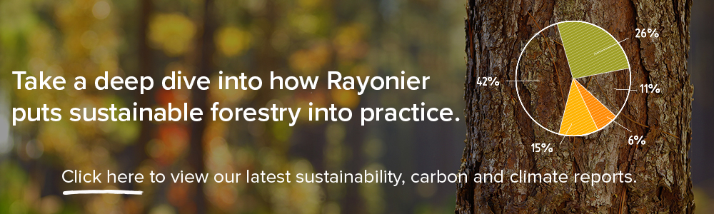 Callout to view Rayonier's latest sustainability, carbon and climate reports.
