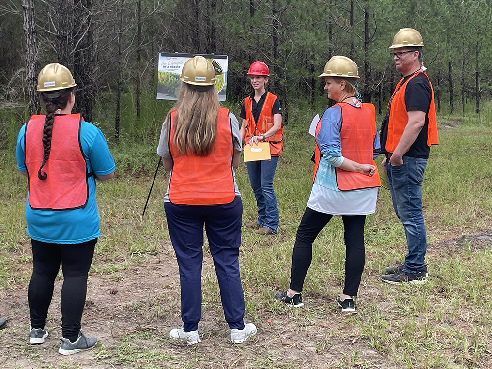 A New England Forestry employee stands with a chart and easel in front of teachers in the forest