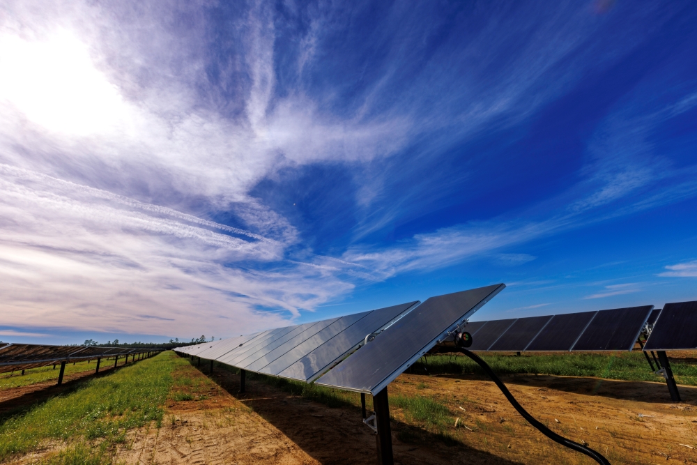 Rows of solar panels face toward a bright blue sky.